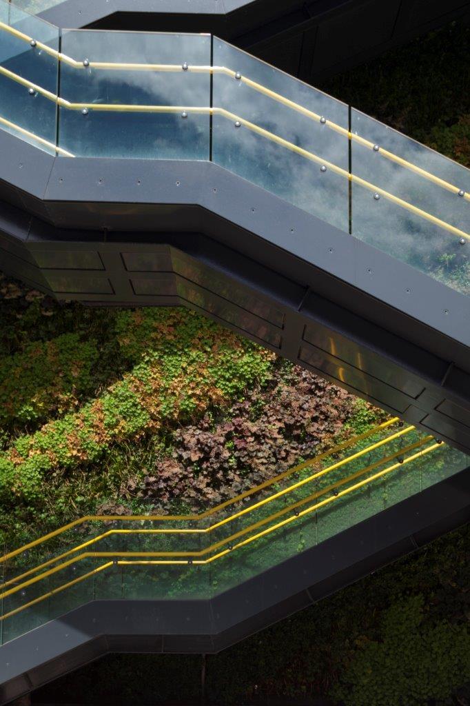 Structural Glass - Walkway